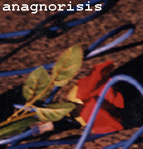 anagnoresis